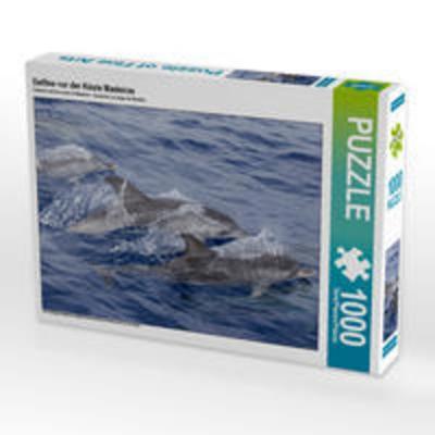 CALVENDO Puzzle Delfine vor der Küste Madeiras | 1000 Teile Lege-Größe 64x48cm Foto-Puzzle für glückliche Stunden