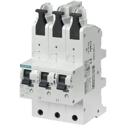 Siemens, Schutzschalter, Hauptleitungsschutzschalter 3xpolig 63A V