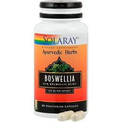 Boswellia Extrakt 450 mg (weihrauch) Solaray 60 ST
