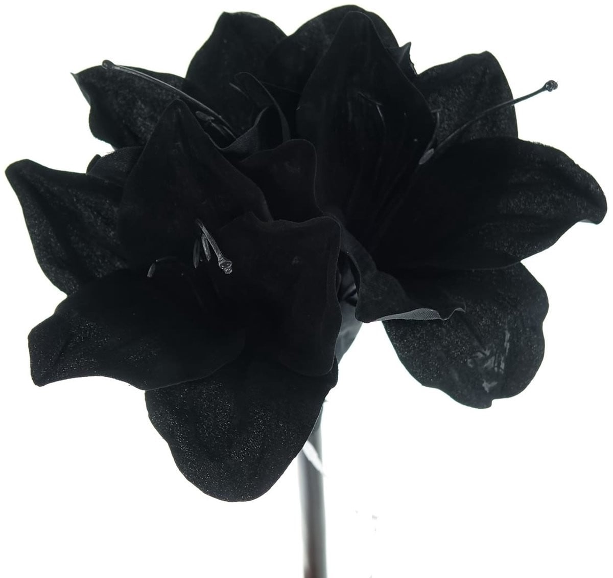 Gasper Amaryllis Kunstbloem Zwart 50 cm