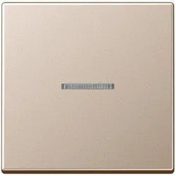 Jung eNet Funk-Steuertaste FM A 1700 CH