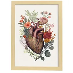POSTER Anatomie Herz A4 Rahmen Aus Hellem Holz