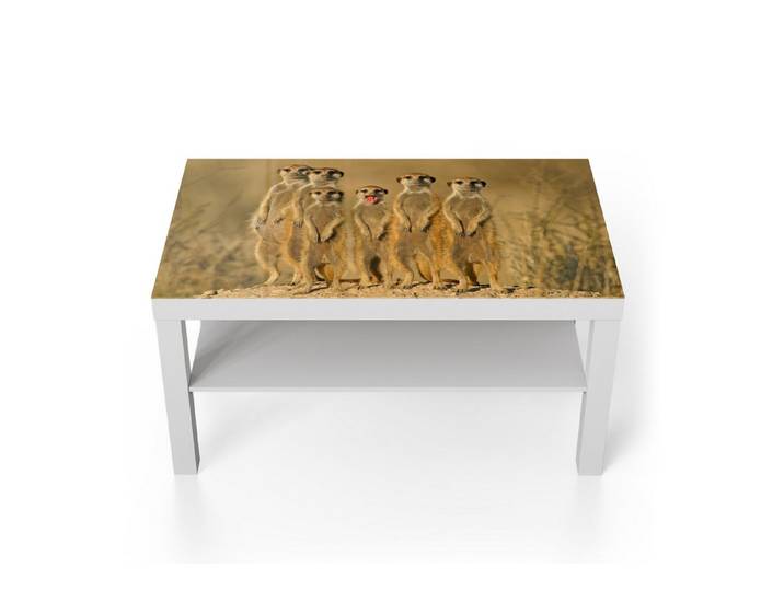 DEQORI Couchtisch 'Wachsame Freunde', Glas Beistelltisch Glastisch modern