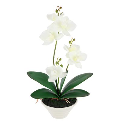 Kunstblume I.GE.A. "Kunstorchidee im Topf", weiß, B:18cm H:30cm T:12cm, Polyester, Kunstpflanzen, 30cm künstliche Orchidee mit Blüten Phalaenopsis Kunstpflanze Pflanze