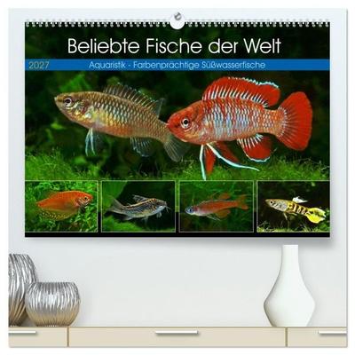 Beliebte Fische der Welt (hochwertiger Premium Wandkalender 2027 DIN A2 quer), Kunstdruck in Hochglanz