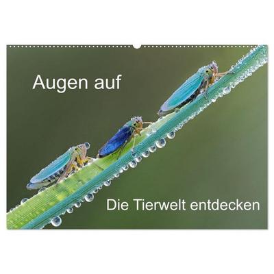Augen auf - versteckte Tierwelt (Wandkalender 2026 DIN A2 quer), CALVENDO Monatskalender