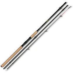 FTM Redlight 2,40m 20-100g Aalrute