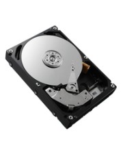 Dell 600 GB 10000 RPM 2.5" SAS 10K (GVT60)