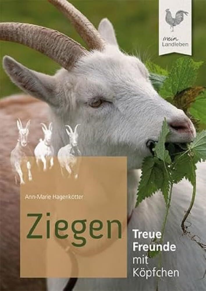Ann-Marie Hagenkötter - Ziegen - Preis vom 30.09.2026 09:01:18 h