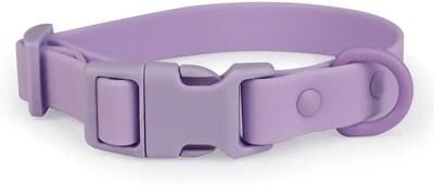 Uplift Essentials Elastic Webbing Identification Collar Waterproof & Rustproof Safety Neckband For Active Dogs purple s