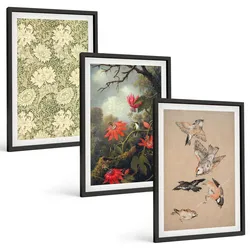 BILDER SET 3er Set - 40x60 cm Schwarzer Rahmen - Blumen, Vögel, Natur