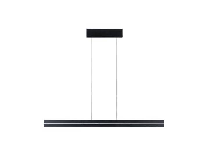 Paulmann 78474 LED Pendelleuchte Raiko RGBW+ dimmbar 2300lm / 370lm 19W / 6W Schwarz