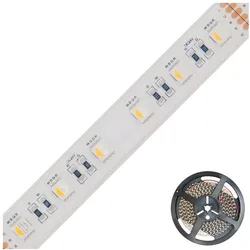 EVN Lichttechnik LED-Strip LSTRSB6824300509902