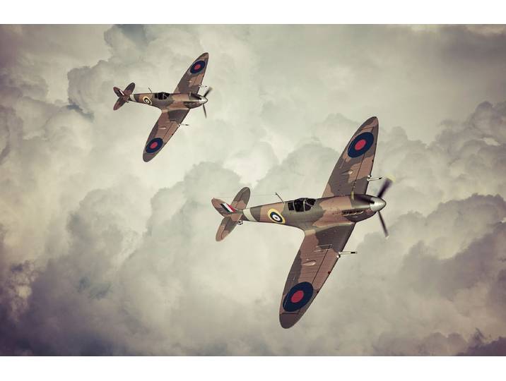 Papermoon Spitfires Vintage Artwork