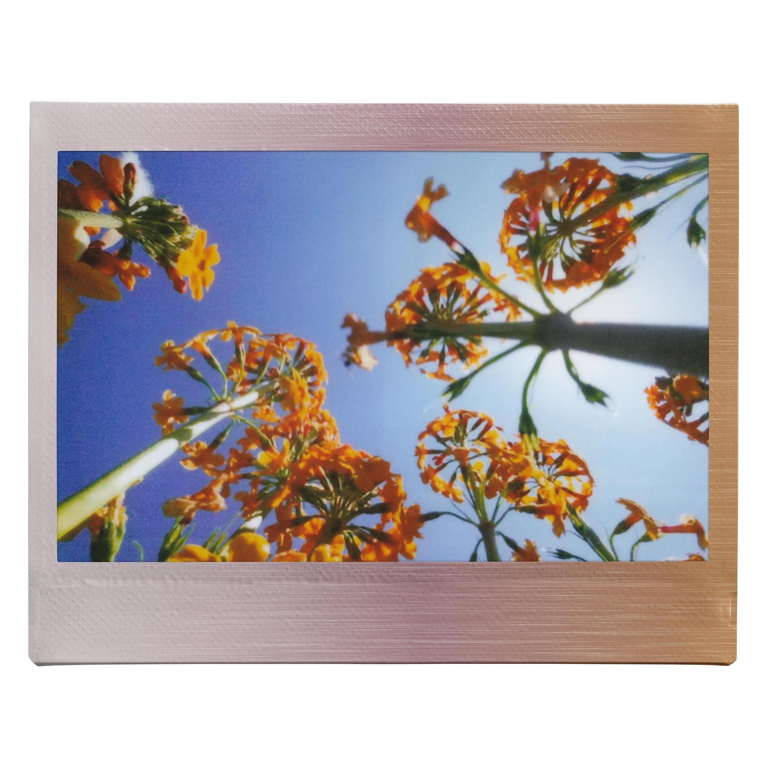 Fujifilm Instax Wide Film Brushed Metallics (4181084)
