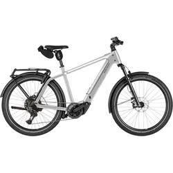 Riese & Müller Charger5 touring pro 800 Wh Herren silber 202 - 27,5" - 53 cm