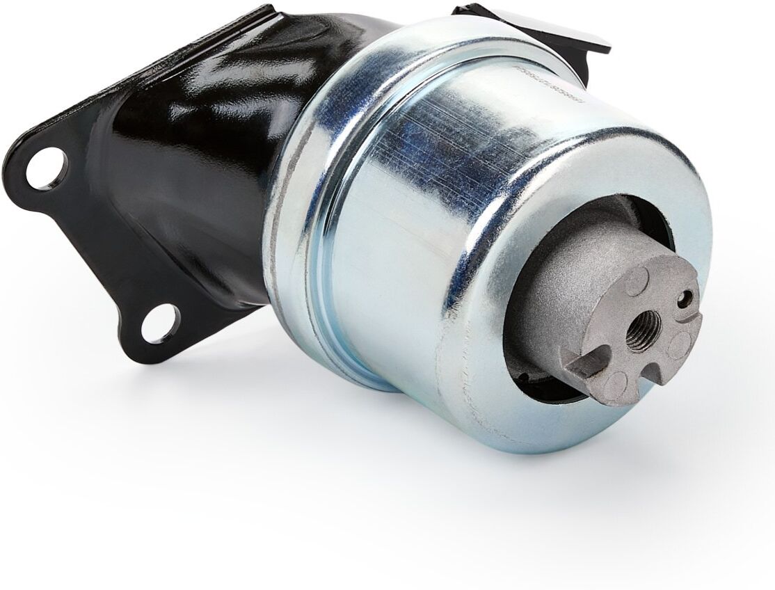 RIDEX 247E0329 Engine mount