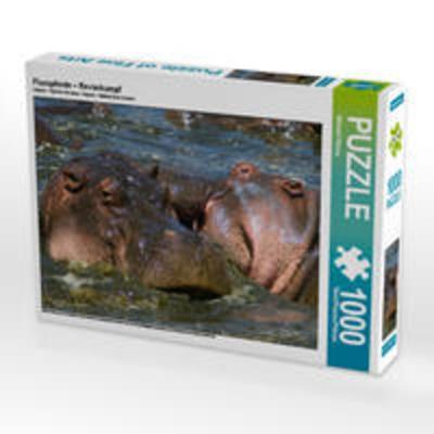 CALVENDO Puzzle Flusspferde – Revierkampf 1000 Teile Lege-Größe 64 x 48 cm Foto-Puzzle Bild von Michael Herzog
