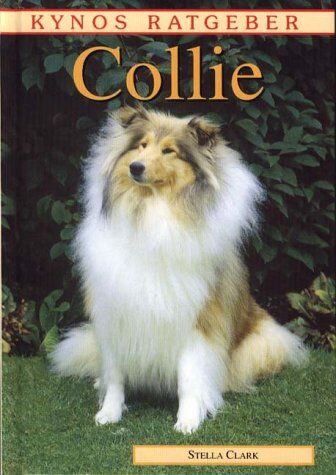 Stella Clark - Collie - Preis vom 09.10.2026 07:28:09 h