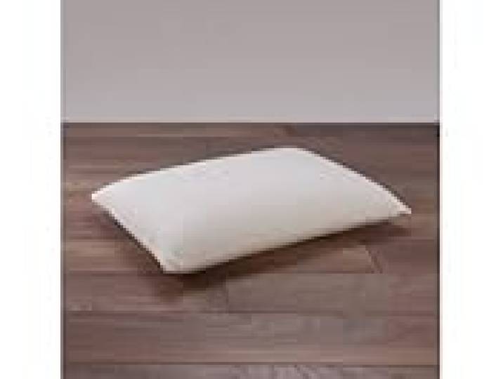 Oreiller Total Protect Anti Acariens et Anti Taches 45x70