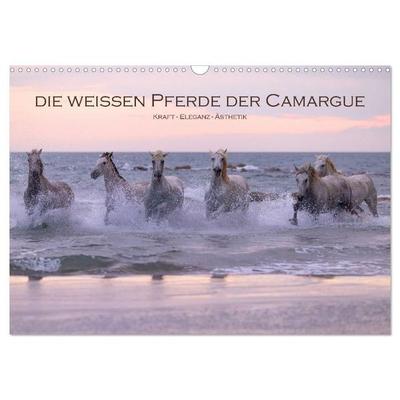 Die weißen Pferde der Camargue (Wandkalender 2027 DIN A3 quer), CALVENDO Monatskalender