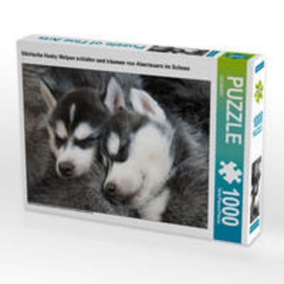 CALVENDO Puzzle Sibirische Husky Welpen schlafen und träumen von Abenteuern im Schnee | 1000 Teile Lege-Größe 64x48cm Foto-Puzzle für glückliche