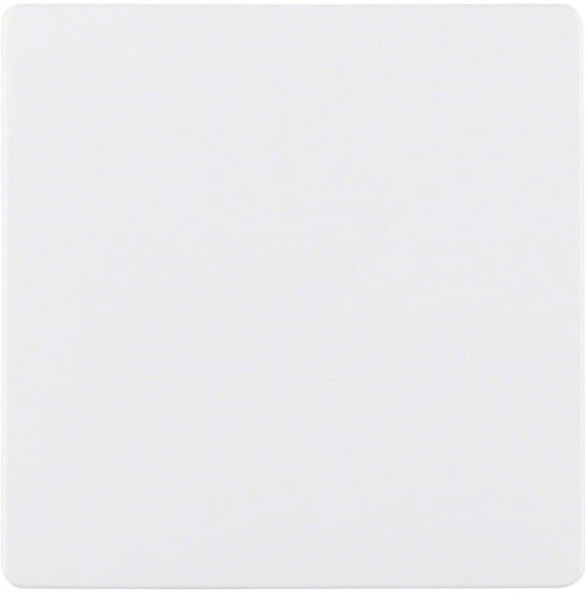Berker Plaque centrale pws pour insert capteur 75940409 (75940409)