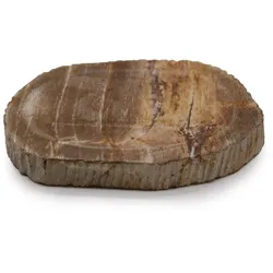 Petrified Wood Brown Soap Dish