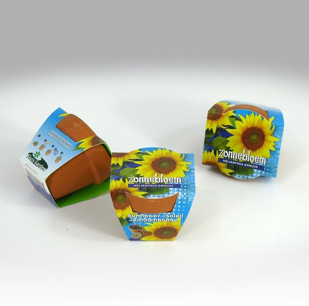 Greengift Terracotta Zonnebloem Hoog Geel