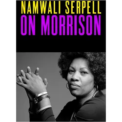 On Morrison, Belletristik von Namwali Serpell