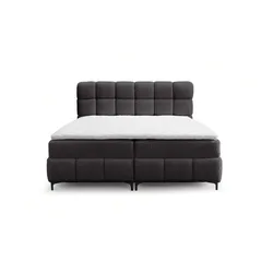 BOXBETT Sophie In Rolf