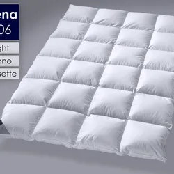 Billerbeck »306 Nena« Daunendecken Mono 200x200 cm 790g