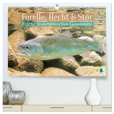 Forelle, Hecht und Stör: Fische in europäischen Gewässern (hochwertiger Premium Wandkalender 2026 DIN A2 quer), Kunstdruck in Hochglanz
