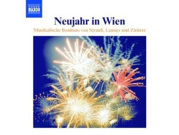 Neujahr in Wien