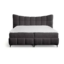 BOXBETT Nova In Rolf