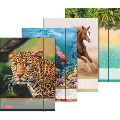 Sammelmappe A3 Tiere Gummizug