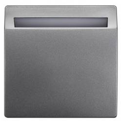 Siemens Schalterprogramm Rahmen Hotel-Card-Schalter DELTA style Platin 5TG48301 1 St.