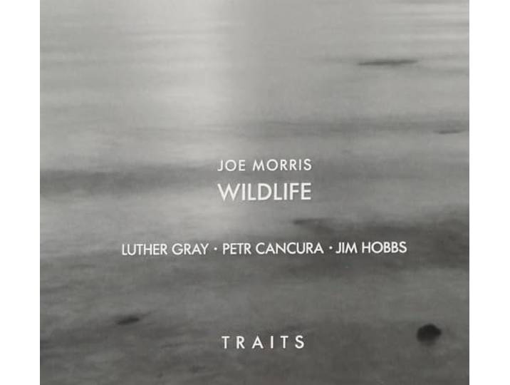 Traits