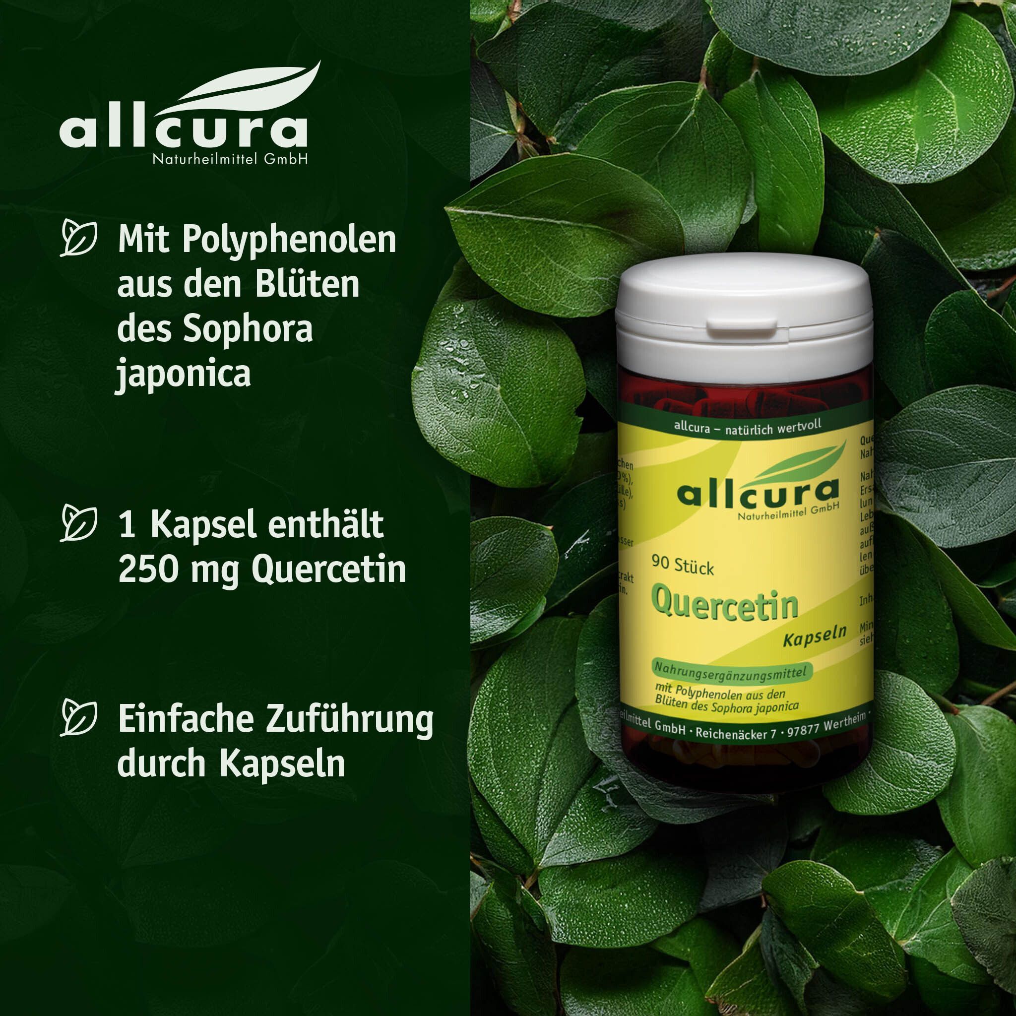 allcura Quercetin 250 mg Kapseln 90 St