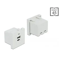 DELOCK Easy 45 USB Ladeportmodul 1 x USB-A + 1 x USB-C
