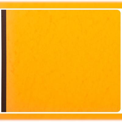Exacompta 16300E Geschäftsbuch 30Sp 27x32 80Bl - Farben sortiert