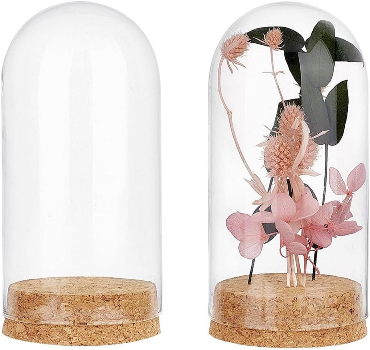 Glazen Koepel met Kurken Onderkant - Display Dome voor Decoratie en Opslag