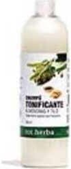 Tot Herba Champú Tonificante Almendra y Tilo 500 ml
