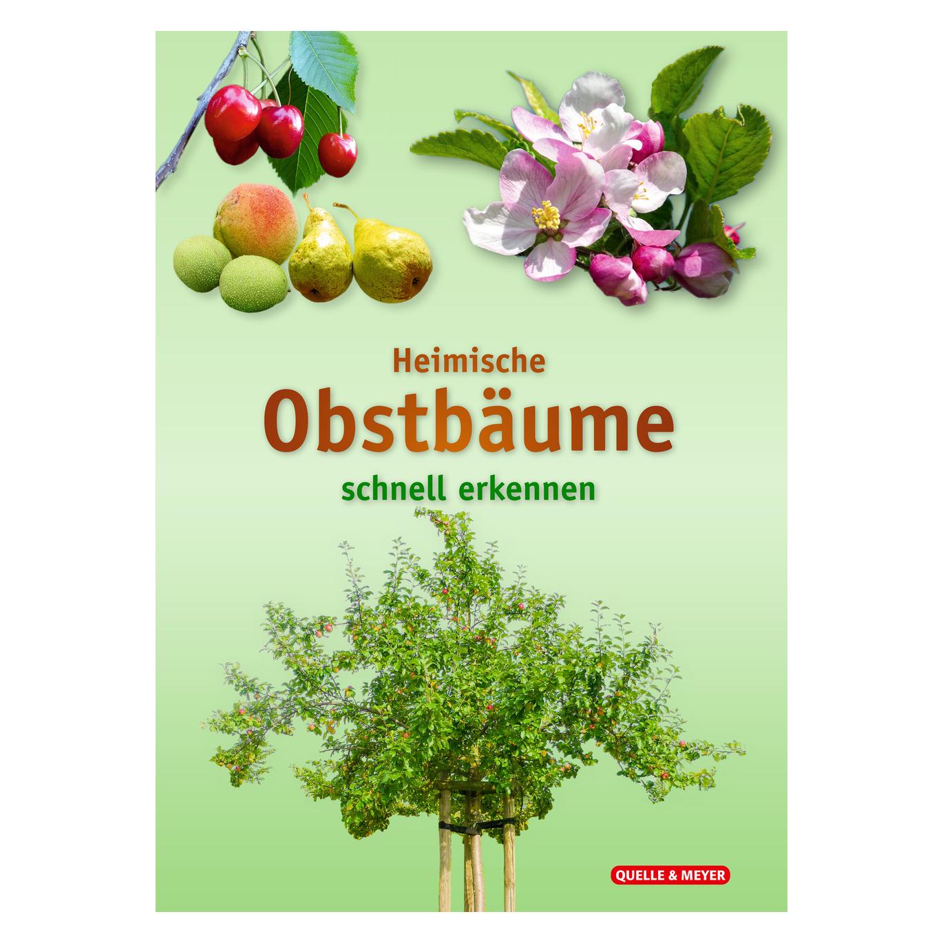 Quelle & Meyer Heimische Obstbäume (Deutsch, Quelle & Meyer Verlag, 2023) (K5 095981400)
