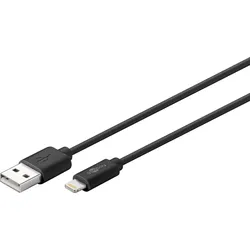 goobay Lightnin/USB-Kabel 63523 1 m