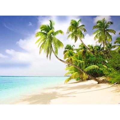 Fototapete PAPERMOON "Beach in the South Seas", bunt, B:3m L:2,23m, Vlies, Tapeten
