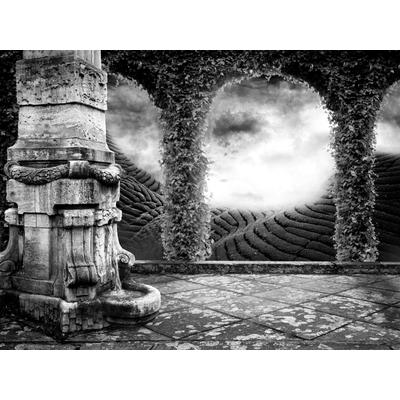 Fototapete PAPERMOON "Tempel Schwarz & Weiß", schwarz (schwarz, weiß), B:3,5m L:2,6m, Vlies, Tapeten