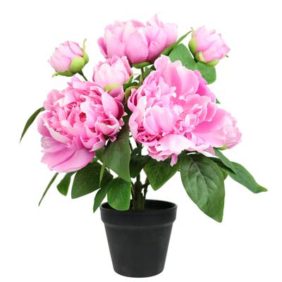 Kunstpflanze I.GE.A. "Künstlicher Päonienbusch im Topf", pink (rosa), B:31cm H:40cm T:25cm, Polyester, Kunstpflanzen, Kunstpflanze, 40cm Pfingstrose Päonie Dekoblumen Kunstblume Deko Hochzeit
