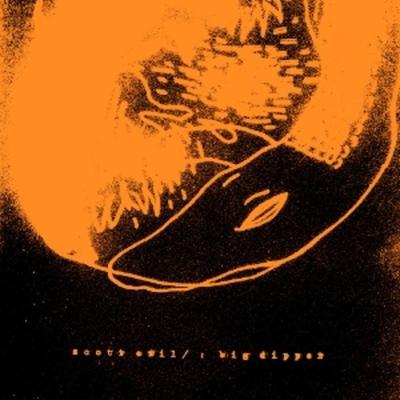 Big Dipper - Scott Evil, Vinyl