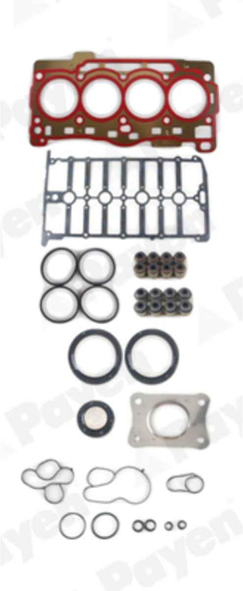Payen Kit guarnizioni, testata CH8010